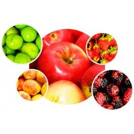 Fruta