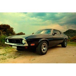 Old mustang