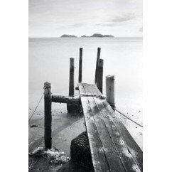 Muelle lago