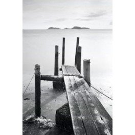 Muelle lago