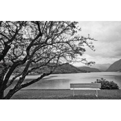Vista al Lago