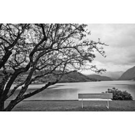Vista al Lago