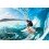 Surf